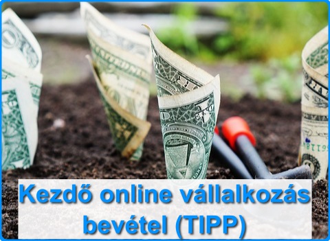 Kezdő online vállalkozás bevétel (TIPP)